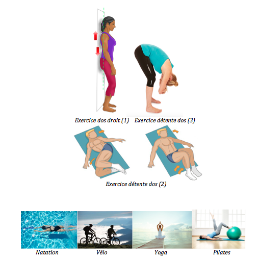 Renforcer assouplir détendre colonne dos lombaire bas du dos natation vélo velo yoga pilates ostéo ostéopathie osteo osteopathie