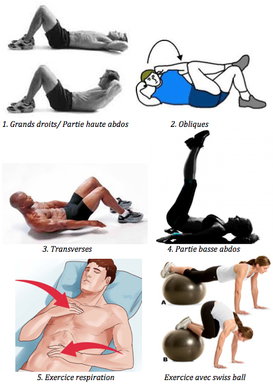 exercices musculation renforcement abdominaux abdos grands droits partie haute abdos obliques transverses partie basse abdos respiration swiss ball planche